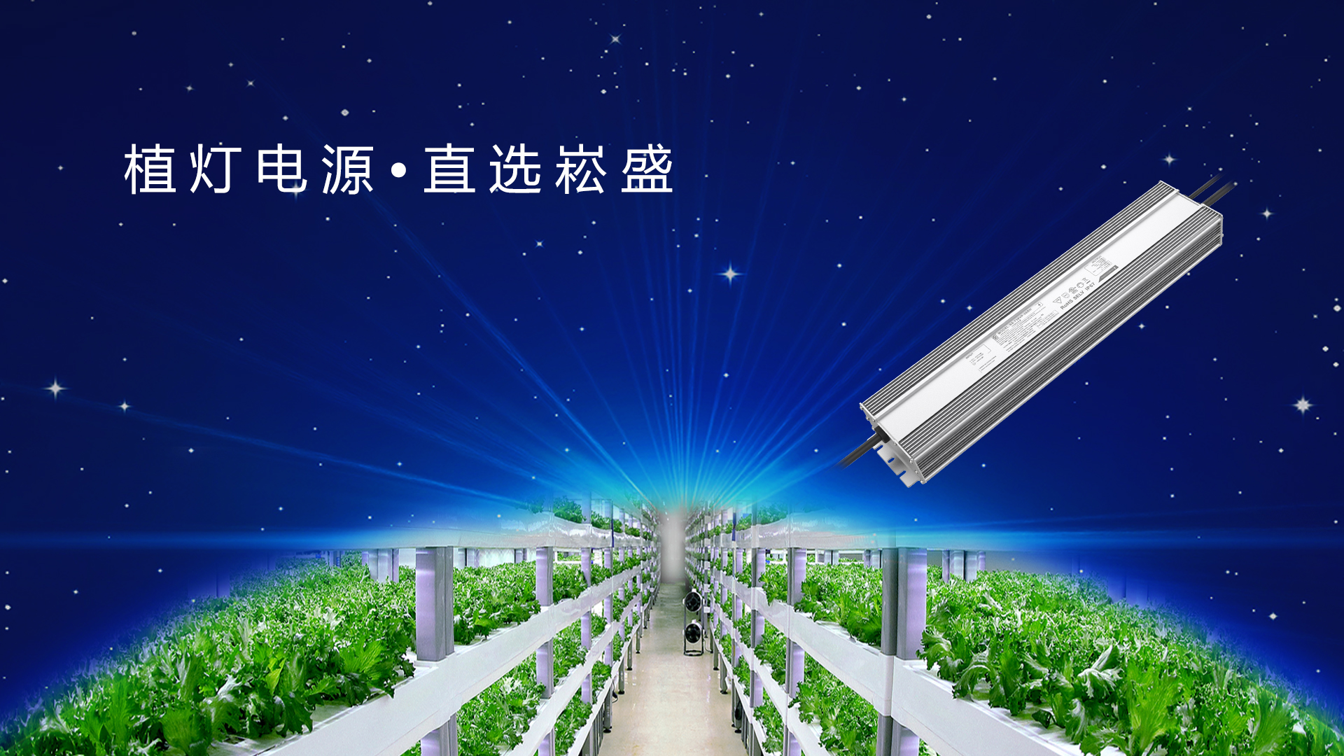 追光而行 ▏做植物照明驱动者，，，，，，让未来农业绽放无限可能